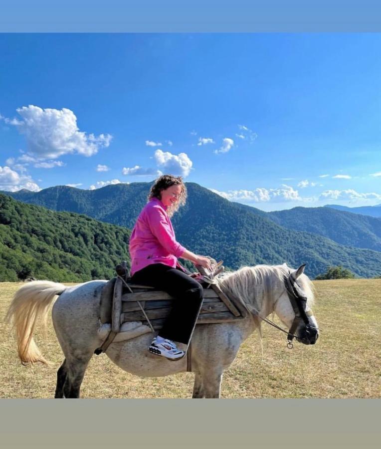 Katun Lanista-Kolibe Bogavac Mojkovac Exterior foto