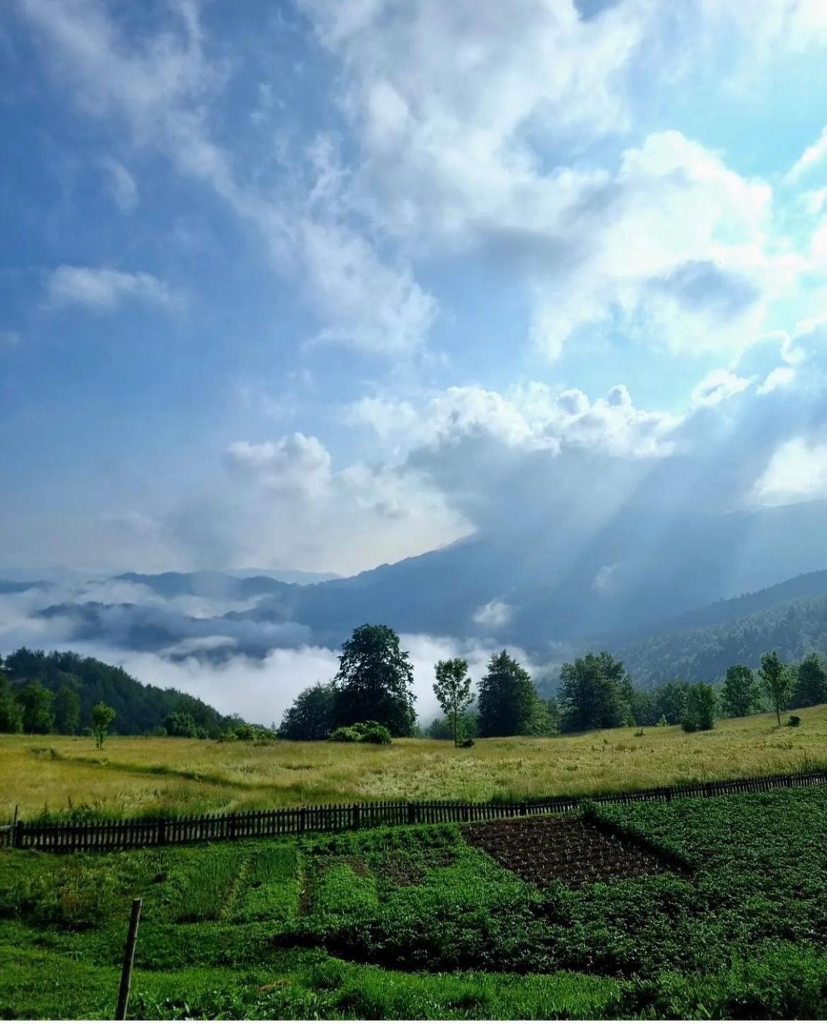 Katun Lanista-Kolibe Bogavac Mojkovac Exterior foto